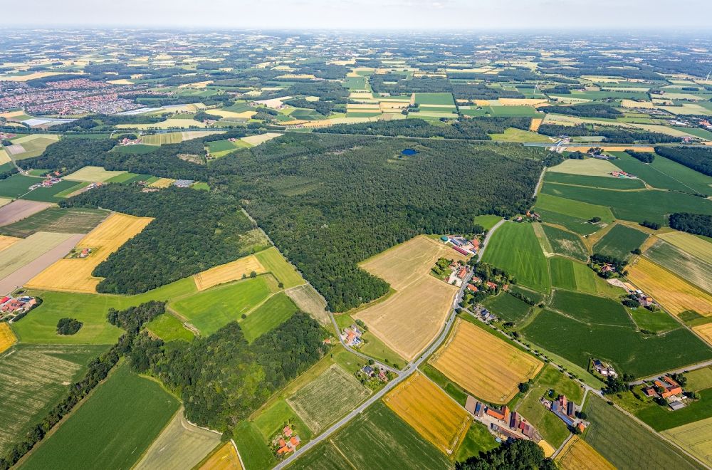 Senden from above - Forest areas in Venner Moor in Senden in the state North Rhine-Westphalia, Germany