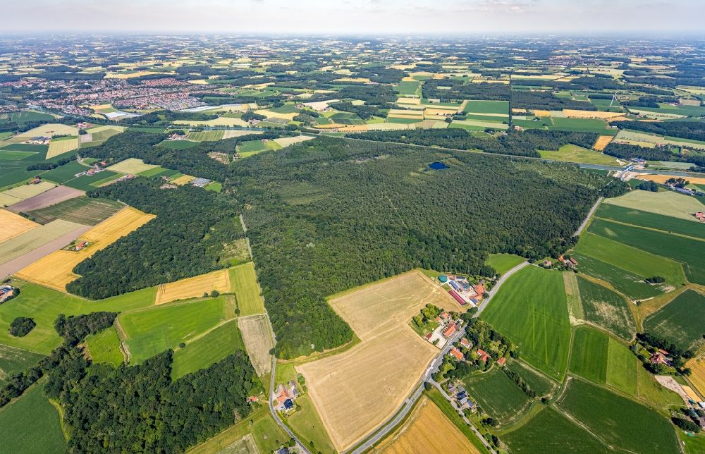 Senden from the bird's eye view: Forest areas in Venner Moor in Senden in the state North Rhine-Westphalia, Germany