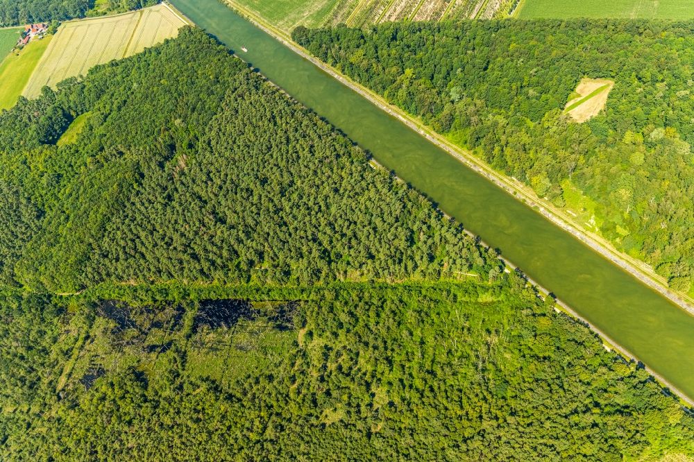 Aerial image Senden - Forest areas in Venner Moor in Senden in the state North Rhine-Westphalia, Germany