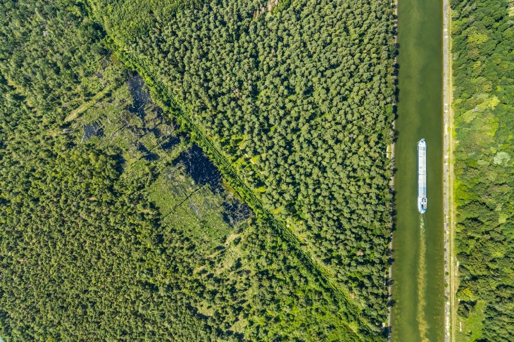 Aerial image Senden - Forest areas in Venner Moor in Senden in the state North Rhine-Westphalia, Germany
