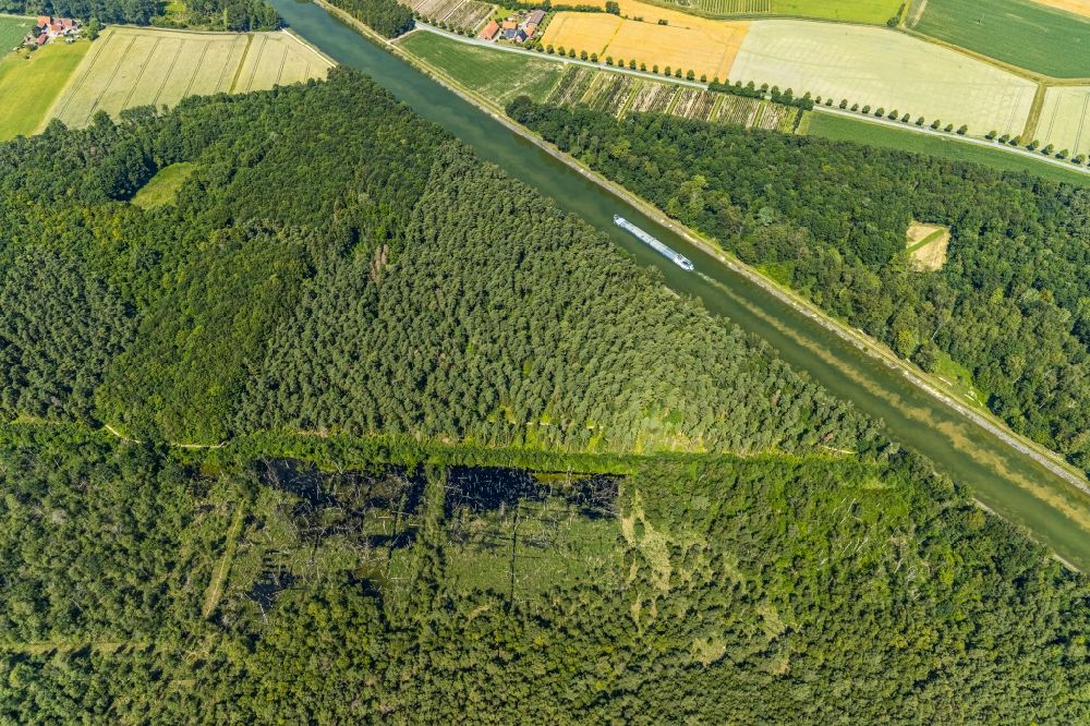 Senden from above - Forest areas in Venner Moor in Senden in the state North Rhine-Westphalia, Germany