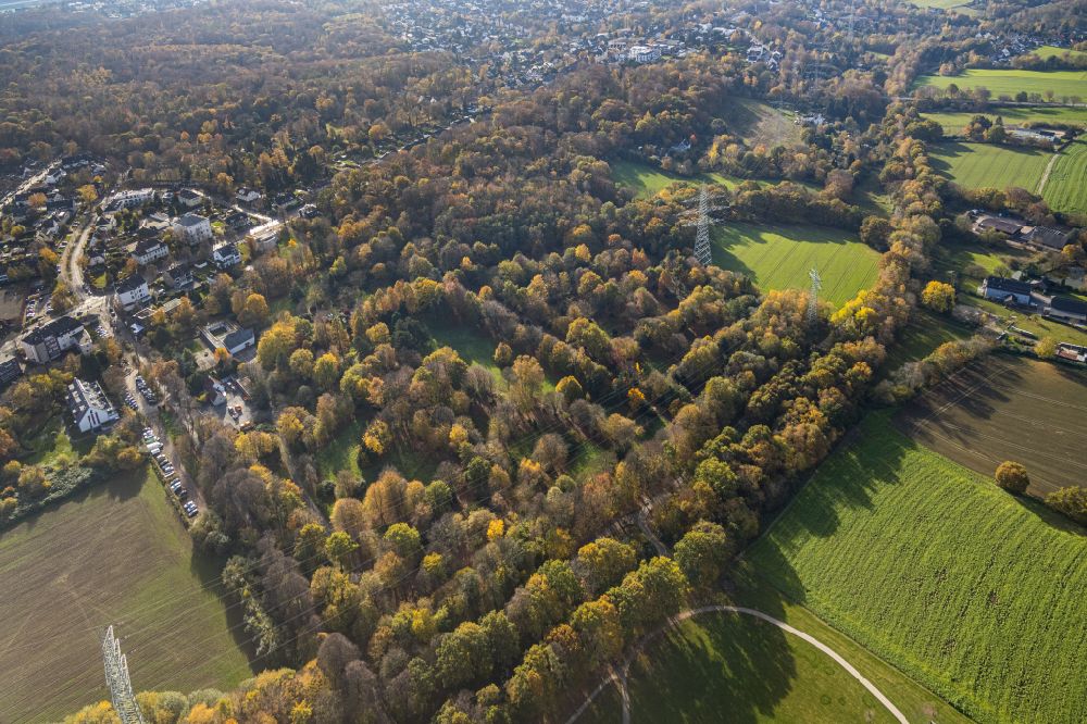 Weitmar from the bird's eye view: Forest areas in in Weitmar in the state North Rhine-Westphalia, Germany