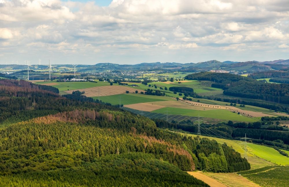 Olsberg from the bird's eye view: Forest areas with meadows and fields in Olsberg in the state North Rhine-Westphalia, Germany