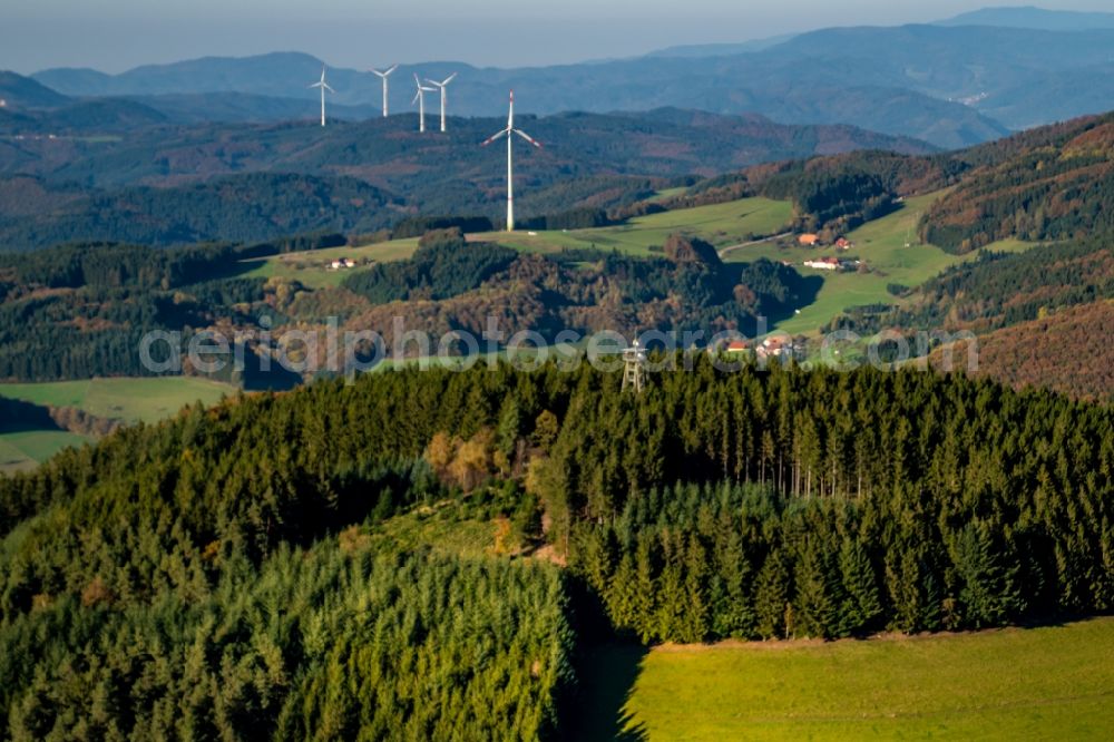 Freiamt from above - Forest areas in in Freiamt in the state Baden-Wurttemberg, Germany