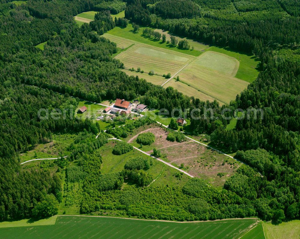 Aerial image Winterstettendorf - Forest areas in in Winterstettendorf in the state Baden-Wuerttemberg, Germany