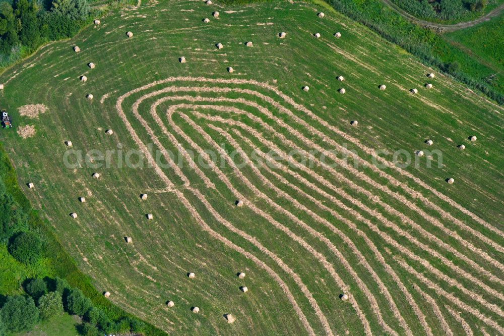 Aerial photograph Brandenburg an der Havel - Freshly mowed rows and lines of mowed grass in fields in Brandenburg an der Havel in the state Brandenburg, Germany