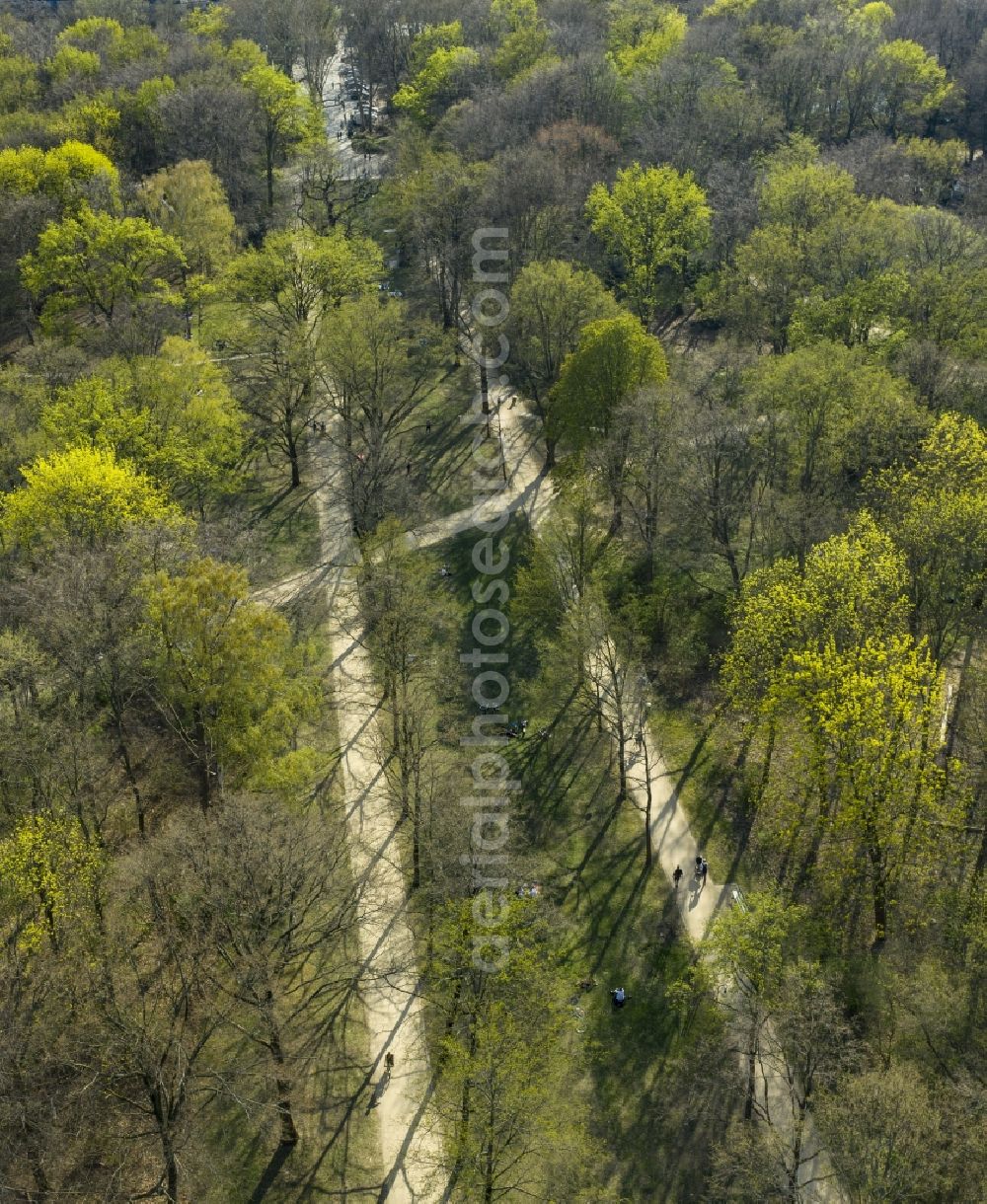 Aerial photograph Berlin - Spring shoots of fresh green leaves from the tree tops in a wooded area the park in the district Tiergarten in Berlin, Germany