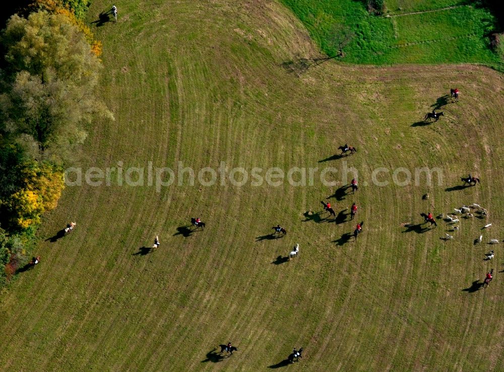 Aerial photograph Waiblingen - Fox hunt in the urban area of Waiblingen in the Rems-Murr District in the state of Baden-Württemberg. Riders, dogs and hunters move alongside trees and over meadows hunting foxes