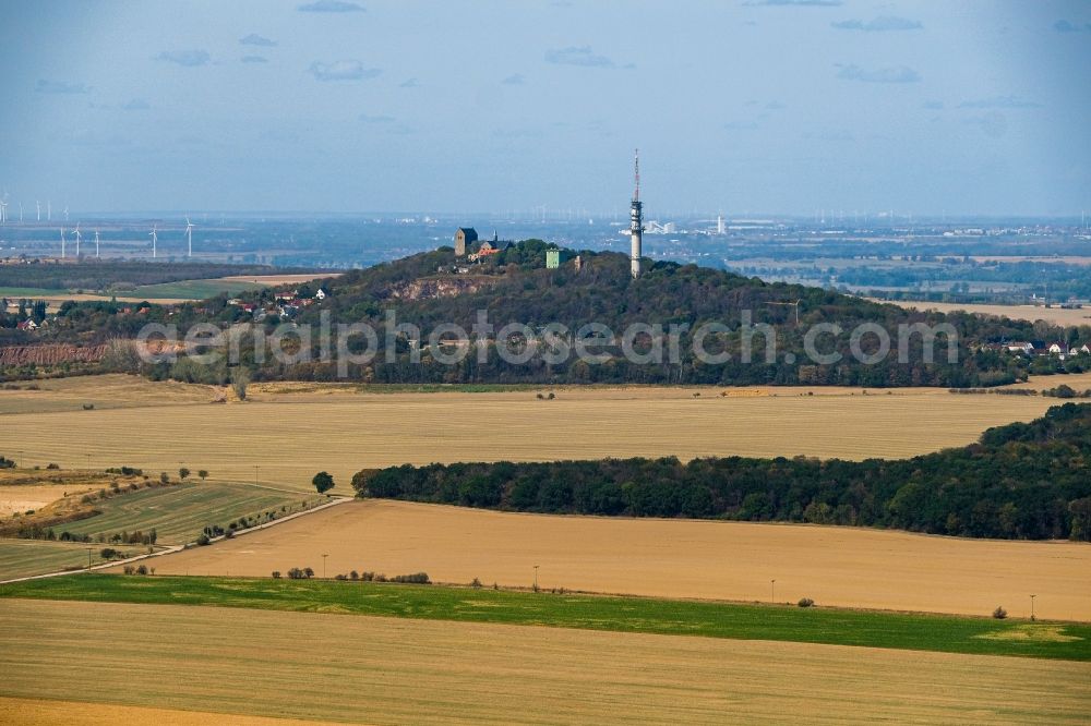 Petersberg from the bird's eye view: Radio tower and transmitter on the crest of the mountain range Petersberg in Petersberg in the state Saxony-Anhalt, Germany