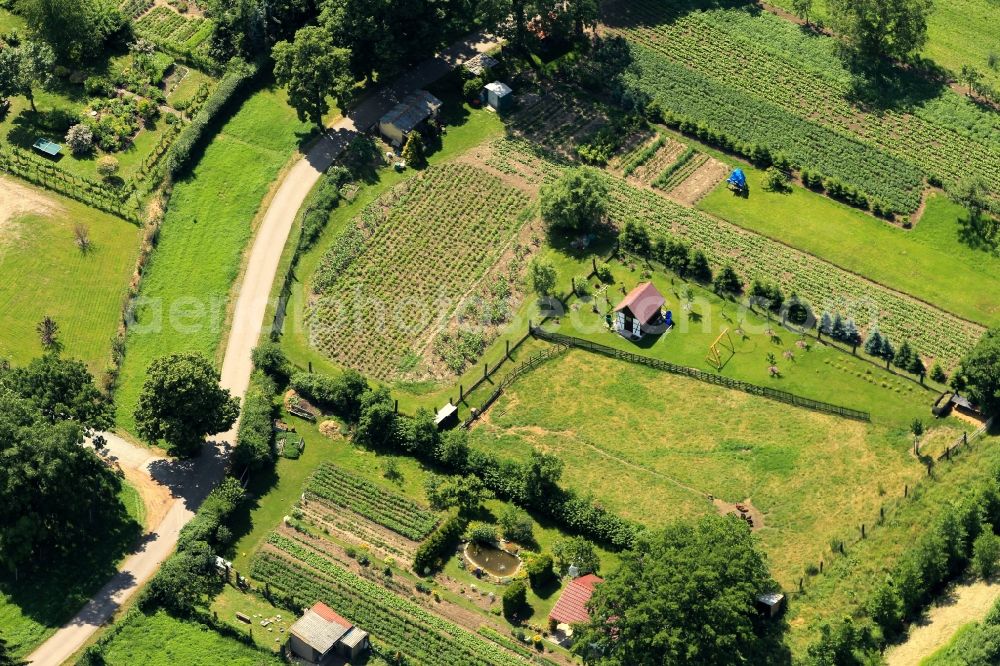 Gebesee from above - In the north of Gebesee in Thuringia on the banks of the Bornklingerbach garden and pasture befindt