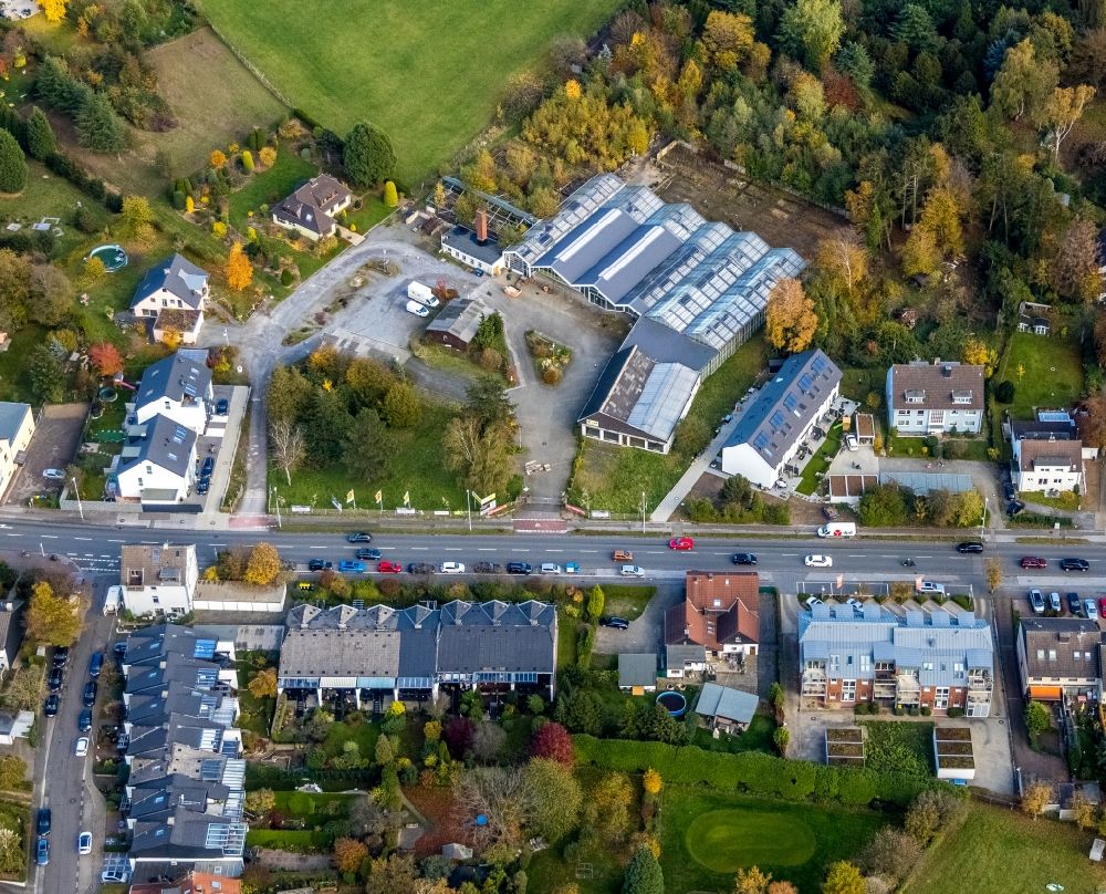 Aerial photograph Selbeck - Garden center - center for gardening supplies Blumen Rumbaum on Koelner Strasse in Selbeck in the state North Rhine-Westphalia, Germany
