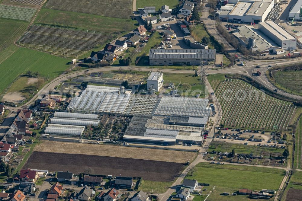 Aerial photograph Haslach im Kinzigtal - Garden center - center for gardening suppliesGoeppert Gartencenter GmbH in Haslach im Kinzigtal in the state Baden-Wuerttemberg, Germany