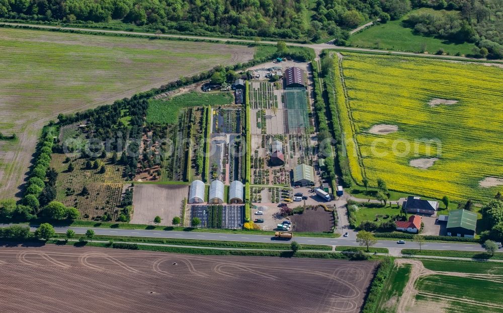 Aerial image Wees - Garden center - center for gardening supplies in Wees in the state Schleswig-Holstein, Germany