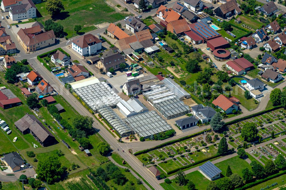 Aerial image Weisweil - Garden center - center for gardening suppliesGaertnerei & Floristik Loesslin in Weisweil in the state Baden-Wuerttemberg, Germany