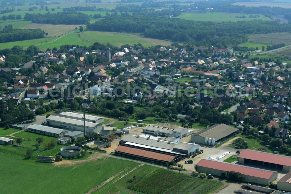Aerial image Zschepplin - Farm and agricultural estate on the edge of Zschepplin in the state of Saxony. The compound with its halls and agricultural facilities is located in the North of the borough