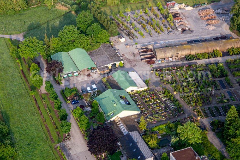 Berg (Pfalz) from above - Building of Store plant market Bienwald-Nursery Greentec GmbH in Berg (Pfalz) in the state Rhineland-Palatinate, Germany