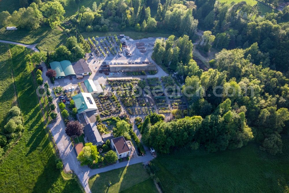 Aerial image Berg (Pfalz) - Building of Store plant market Bienwald-Nursery Greentec GmbH in Berg (Pfalz) in the state Rhineland-Palatinate, Germany