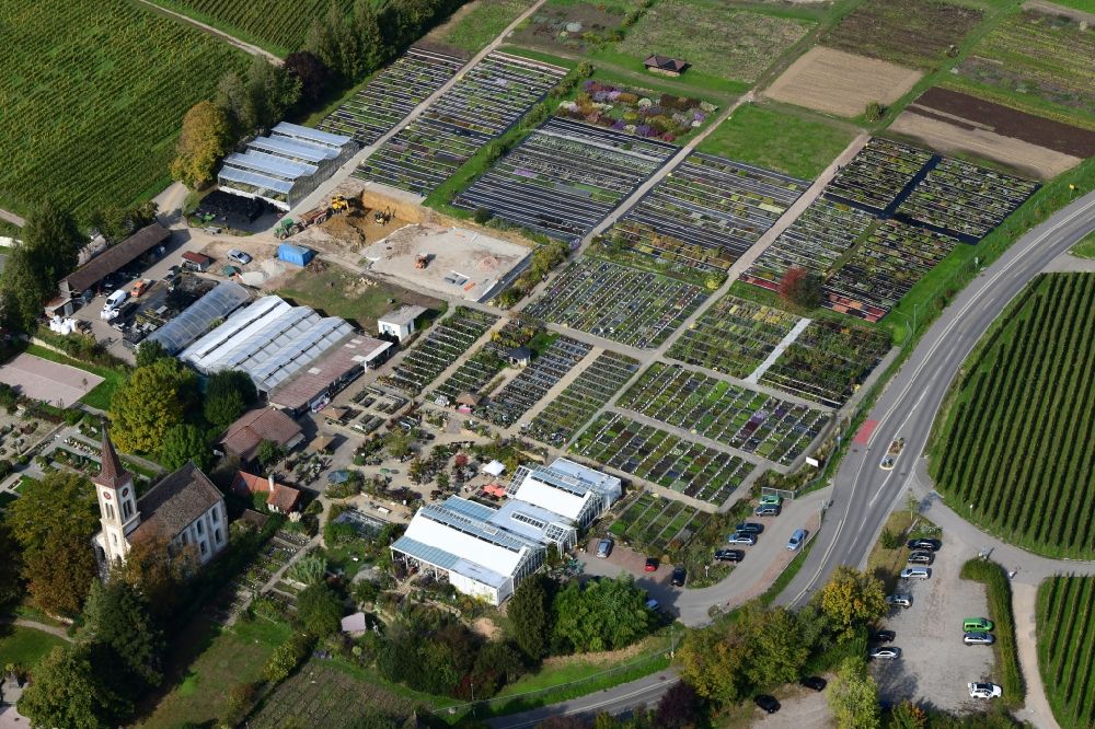 Aerial image Sulzburg - Buildings, beds and plants at the grounds of the perennial nursery Graefin von Zeppelin in the district Laufen in Sulzburg in the state Baden-Wurttemberg, Germany