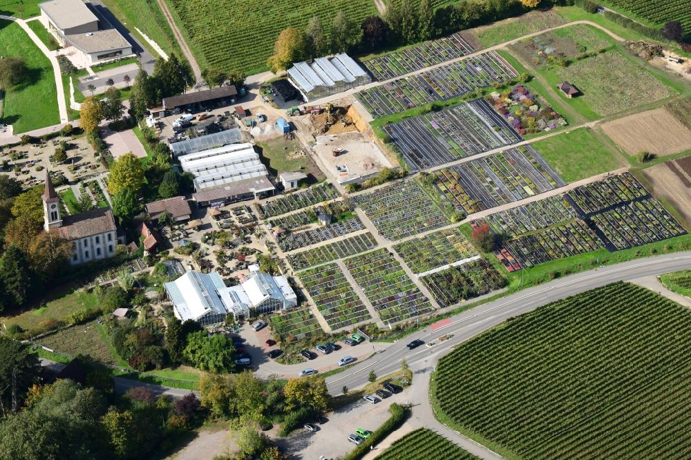 Sulzburg from above - Buildings, beds and plants at the grounds of the perennial nursery Graefin von Zeppelin in the district Laufen in Sulzburg in the state Baden-Wurttemberg, Germany