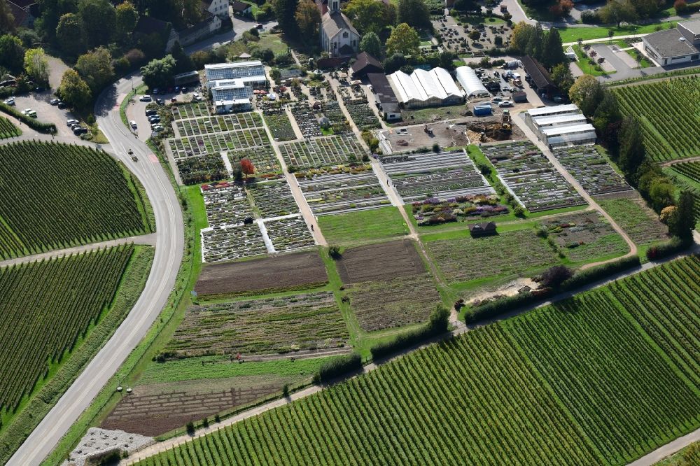 Sulzburg from the bird's eye view: Buildings, beds and plants at the grounds of the perennial nursery Graefin von Zeppelin in the district Laufen in Sulzburg in the state Baden-Wurttemberg, Germany