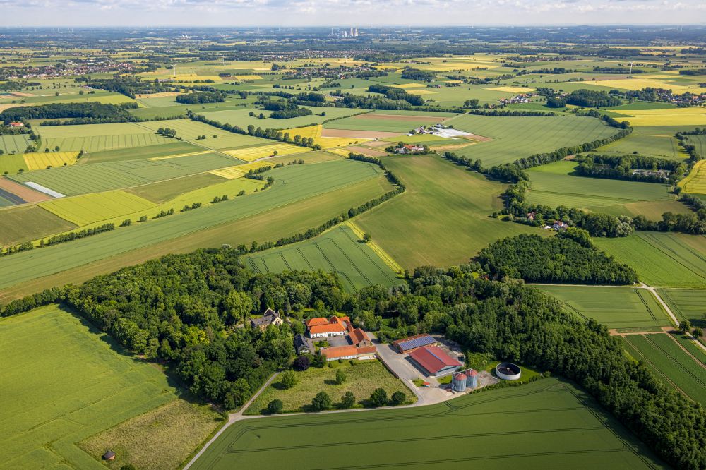 Werl from the bird's eye view: Buildings and parks at the mansion of the farmhouse Haus Lohe in the district Westoennen in Werl at Ruhrgebiet in the state North Rhine-Westphalia, Germany