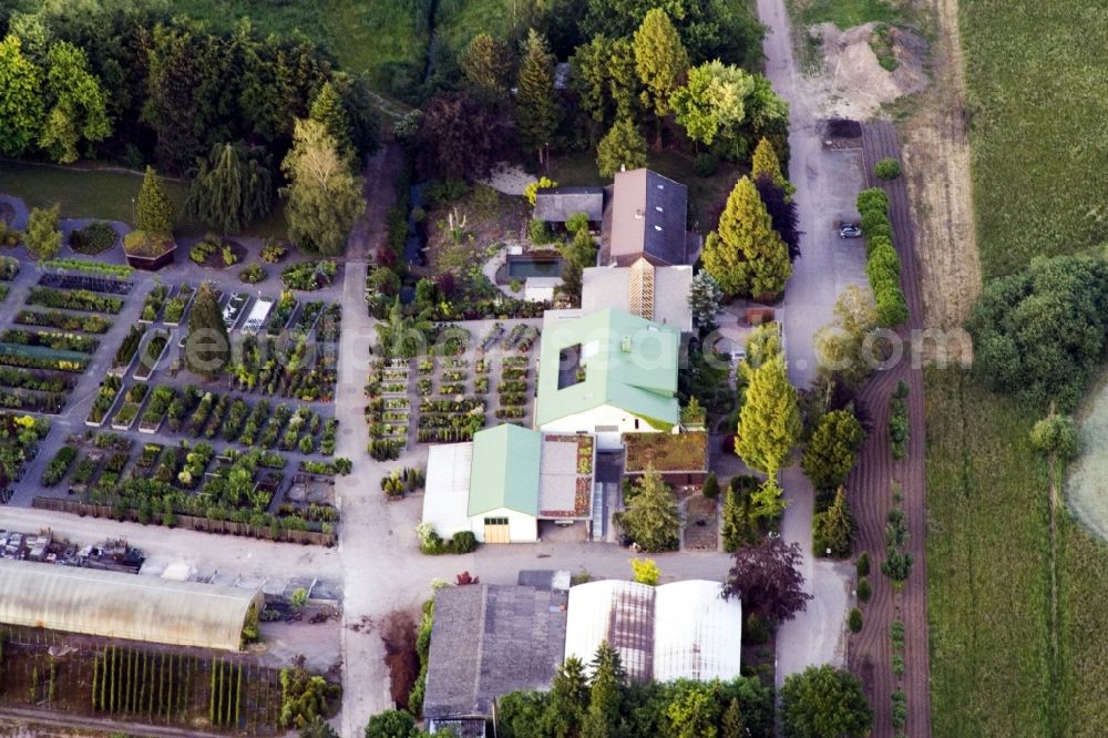 Aerial image Berg (Pfalz) - Building of Store plant market Bienwaldbaumschule in Berg (Pfalz) in the state Rhineland-Palatinate