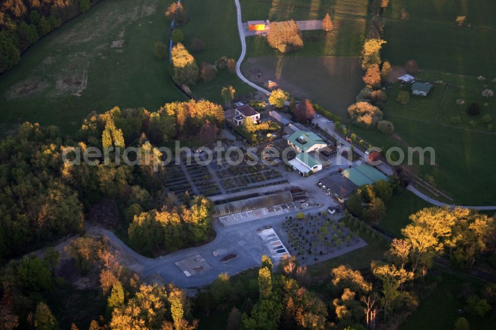 Aerial photograph Berg (Pfalz) - Building of Store plant market Bienwaldbaumschule in Berg (Pfalz) in the state Rhineland-Palatinate