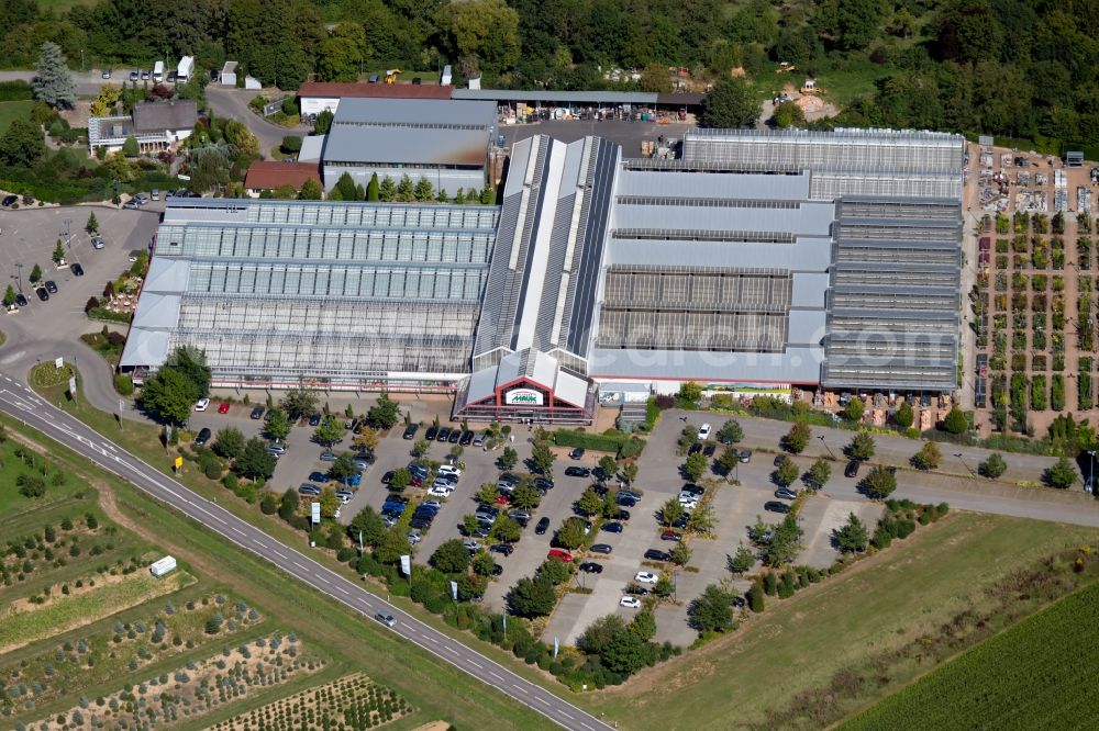 Aerial photograph Lauffen am Neckar - Building of Store plant market of Pflanzen Mauk Gartencenter GmbH at Landturm in Lauffen am Neckar in the state Baden-Wurttemberg, Germany