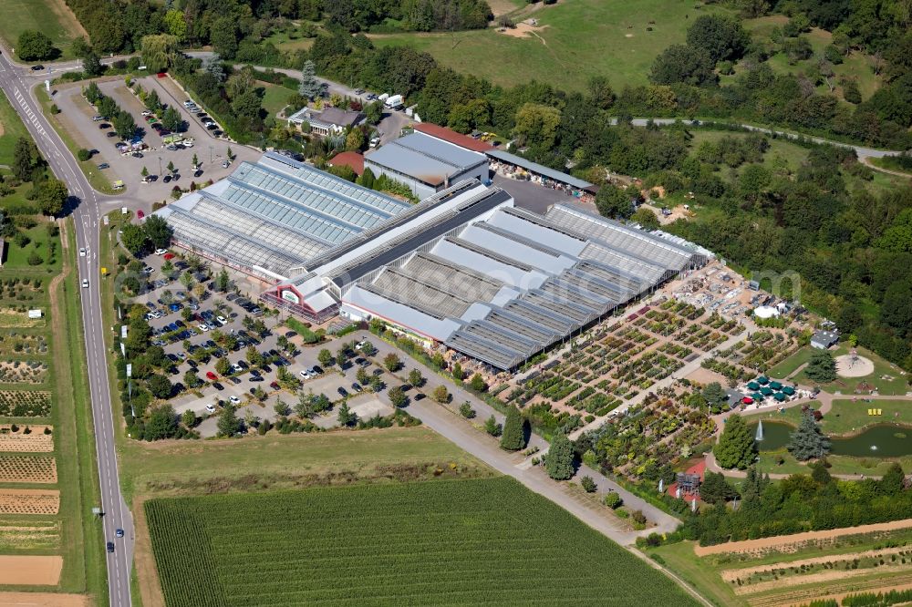 Aerial image Lauffen am Neckar - Building of Store plant market of Pflanzen Mauk Gartencenter GmbH at Landturm in Lauffen am Neckar in the state Baden-Wurttemberg, Germany