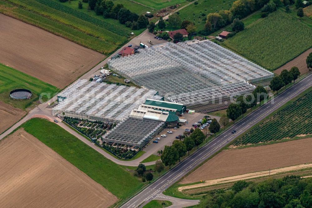 Malterdingen from above - Building of Store plant market Pflanzencenter Keller in Malterdingen in the state Baden-Wuerttemberg, Germany