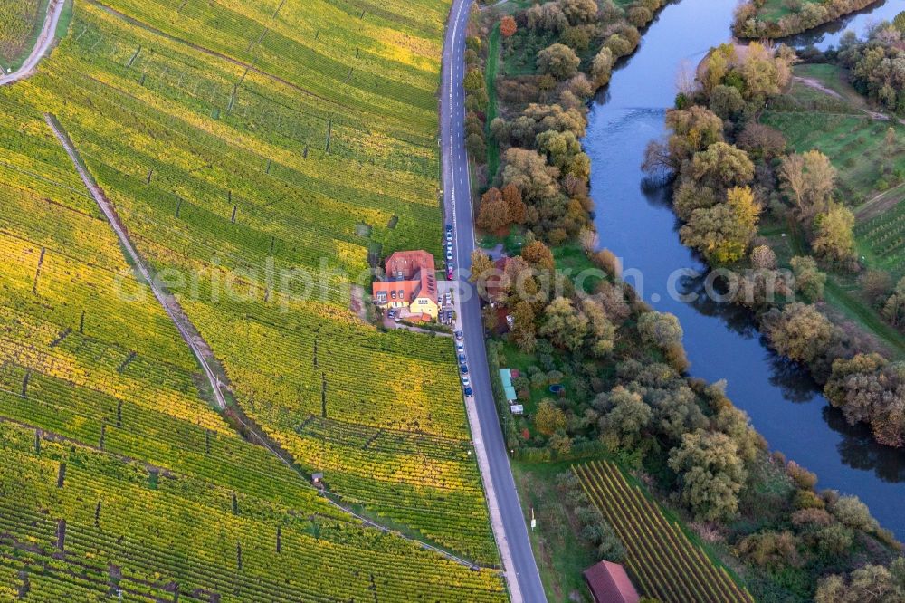 Aerial image Volkach - Building of the restaurant Gasthaus Mainaussicht Gifthuette in Volkach in the state Bavaria, Germany