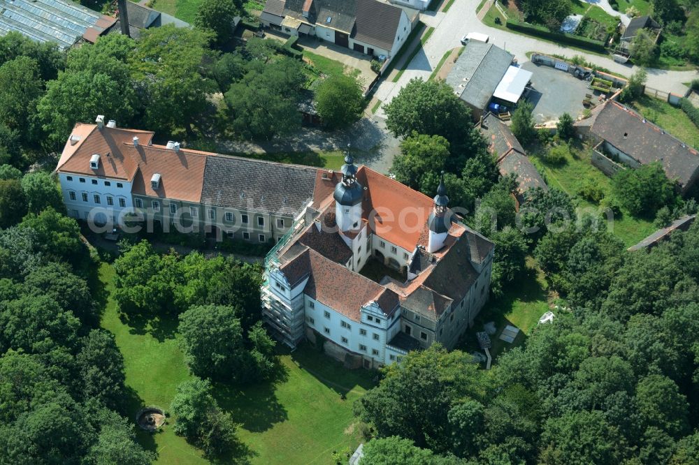 Aerial image Zschepplin - Building and Park of Castle Zschepplin in Zschepplin in the state of Saxony. The castle with its church, yard and towers is located in a forest on the edge of Zschepplin