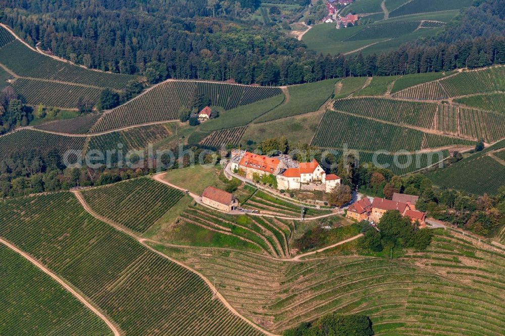 Aerial image Durbach - Castle winery and restaurant Schloss Staufenberg in Durbach in the state Baden-Wuerttemberg, Germany