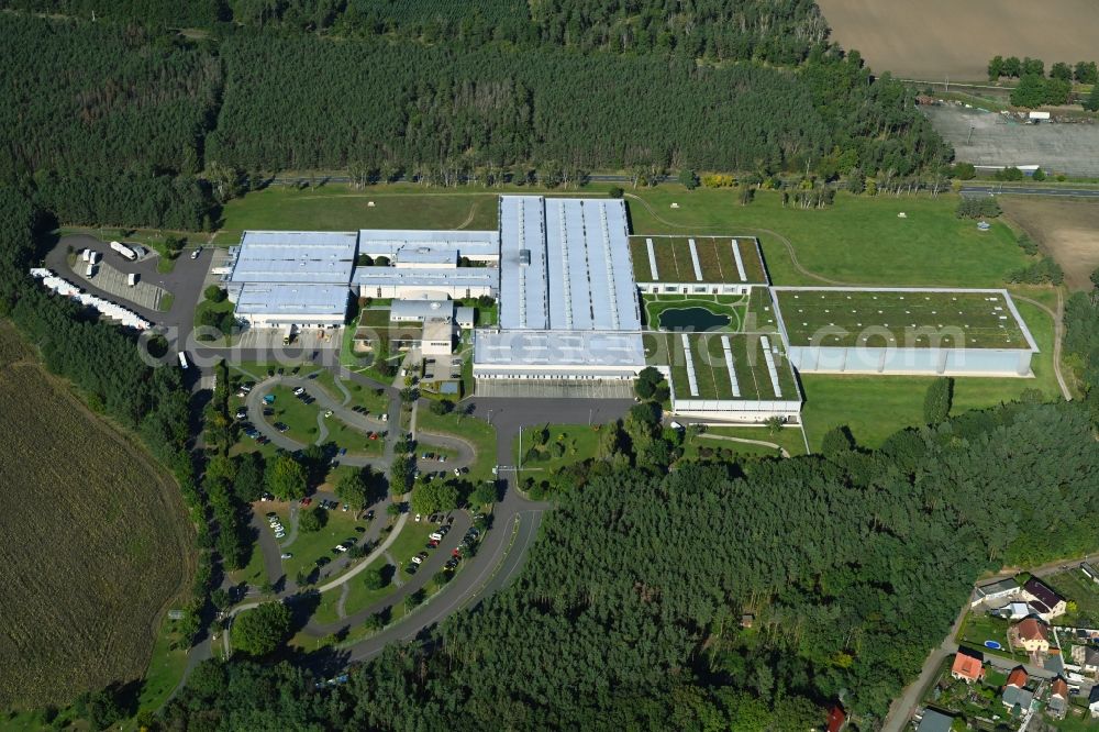 Aerial image Coswig (Anhalt) - Building complex and grounds of the logistics center of Ernsting's Family GmbH & Co. KG in the district Klieken in Coswig (Anhalt) in the state Saxony-Anhalt, Germany