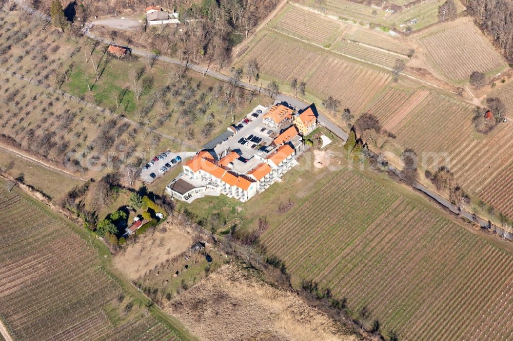 Rhodt unter Rietburg from the bird's eye view: Complex of the hotel building Wohlfuehlhotel Alte Rebschule and Gasthaus Sesel in Rhodt unter Rietburg in the state Rhineland-Palatinate, Germany