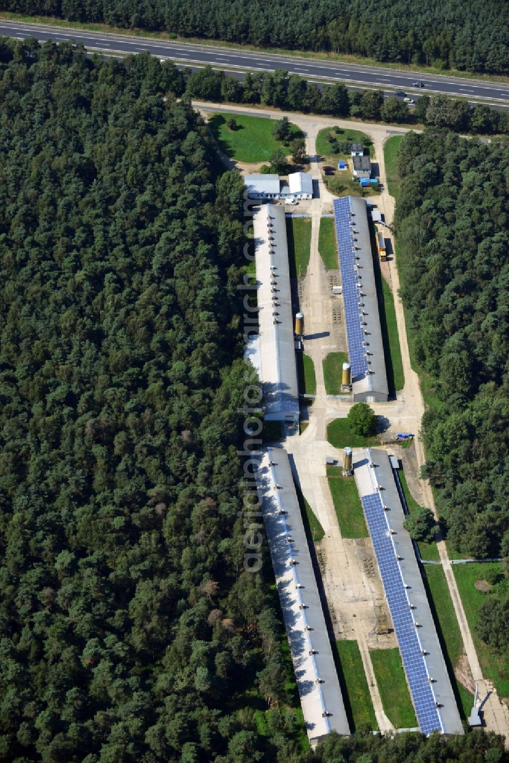 Aerial image Radeburg - Building complexes of the chicken farm in the woods at the Zschornaer road in Radeburg in Saxony