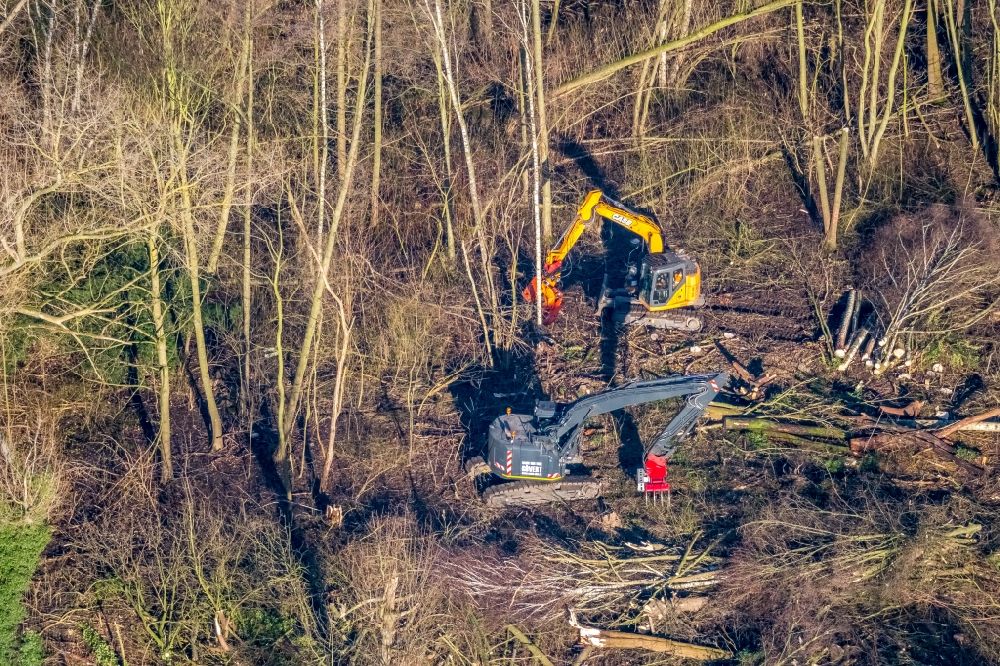 Aerial image Bochum - Felled tree trunks in a forest area in the district Hordel in Bochum in the state North Rhine-Westphalia
