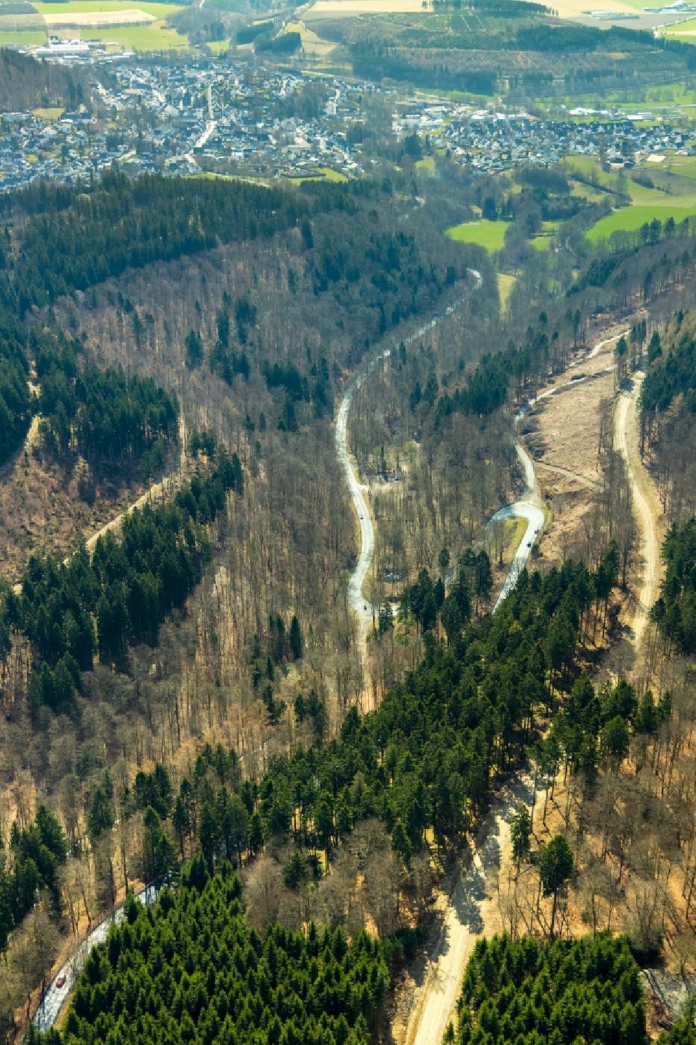 Aerial image Schmallenberg - Felled tree trunks in a forest area in Schmallenberg in the state North Rhine-Westphalia, Germany