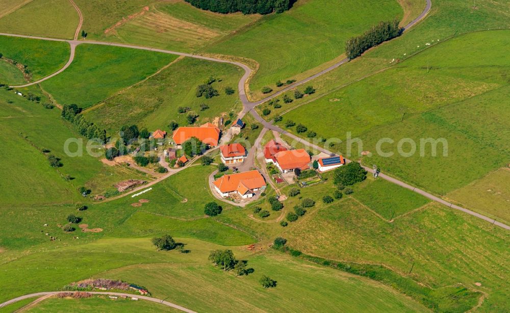 Bollenbach from above - Homestead of a farm in Bollenbach in the state Baden-Wuerttemberg, Germany