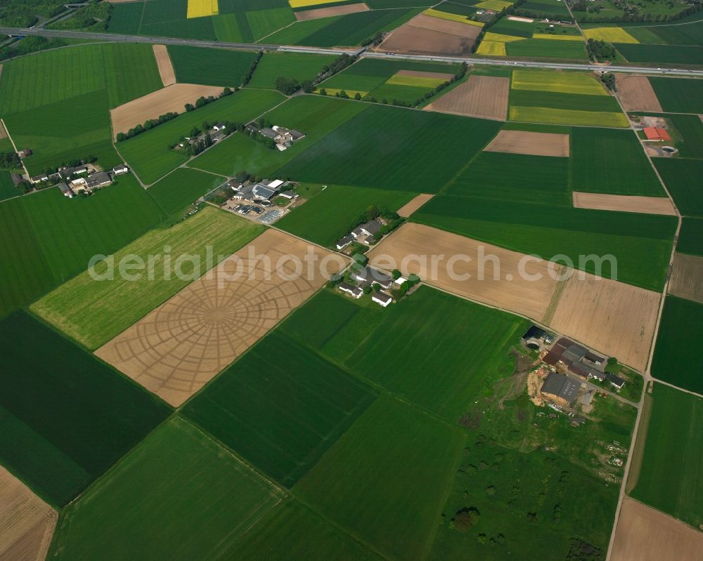 Eberstadt from above - Homestead and farm outbuildings on the edge of agricultural fields in Eberstadt in the state Hesse, Germany
