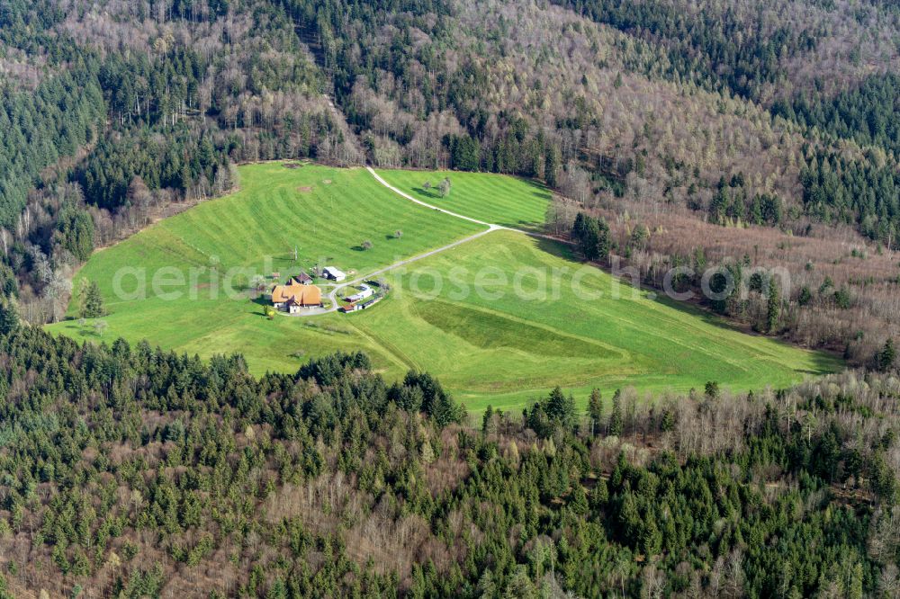 Aerial image Ettenheimmünster - Homestead of a farm in Ettenheimmuenster in the state Baden-Wuerttemberg, Germany