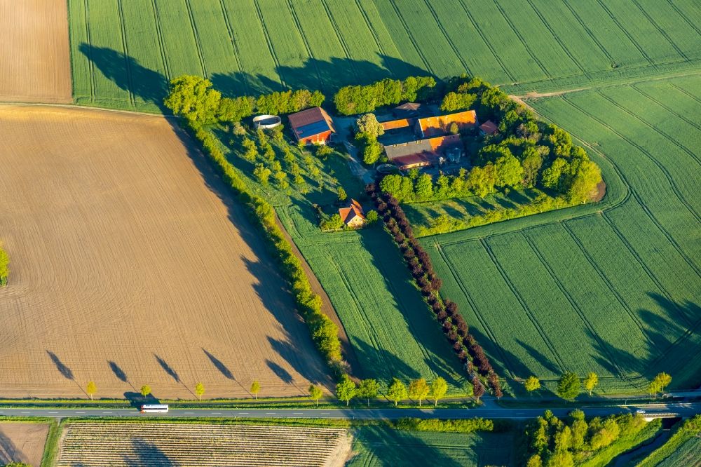 Aerial image Everswinkel - Homestead of a farm on Evener in the district Evener in Everswinkel in the state North Rhine-Westphalia, Germany