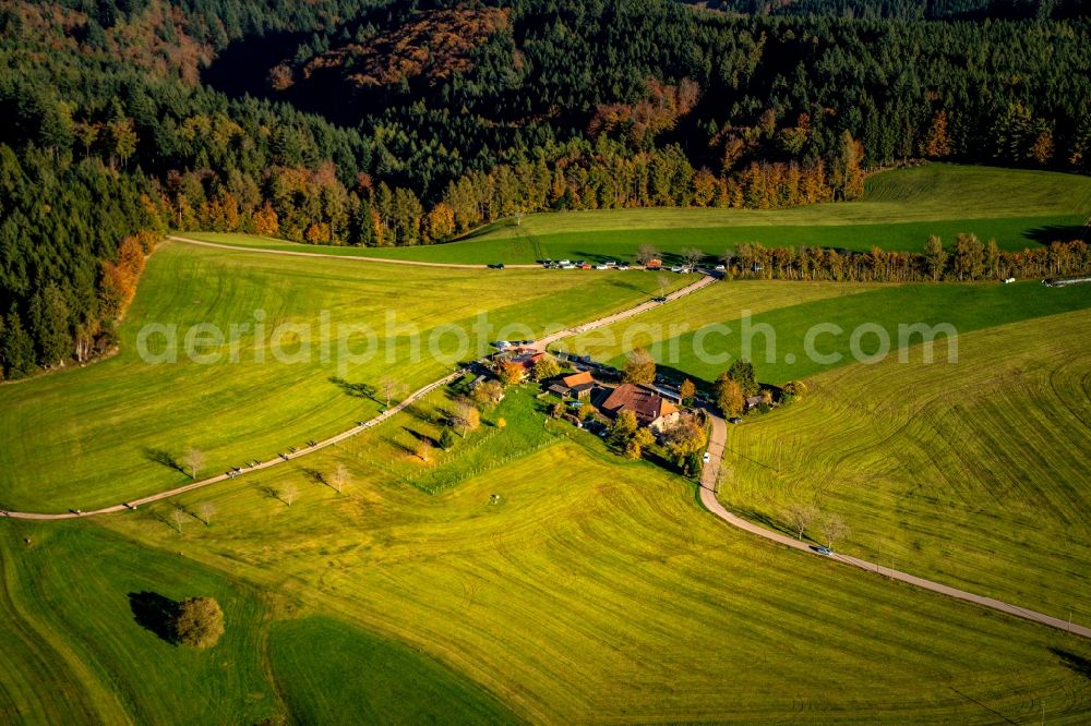 Aerial image Freiamt - Homestead of a farm in Freiamt in the state Baden-Wurttemberg, Germany