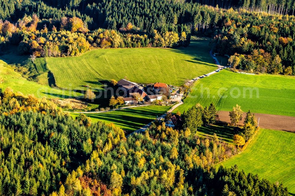 Aerial photograph Freiamt - Homestead of a farm in Freiamt in the state Baden-Wurttemberg, Germany