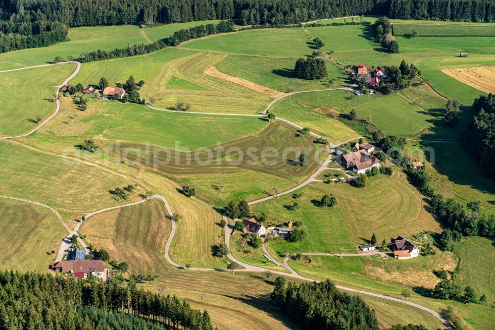Waldshut from above - Homestead of a farm in Freiamt in the state Baden-Wurttemberg, Germany