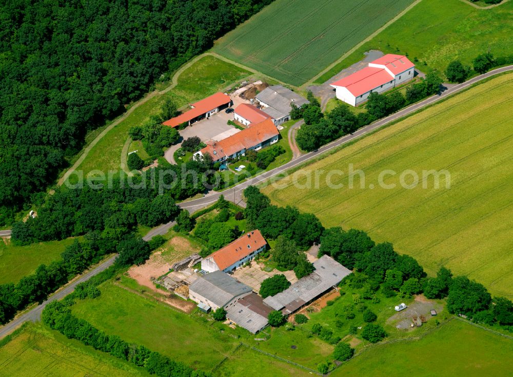 Aerial photograph Göllheim - Homestead and farm outbuildings on the edge of agricultural fields in Göllheim in the state Rhineland-Palatinate, Germany