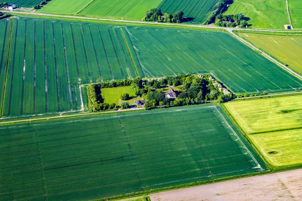 Aerial photograph Niebüll - Homestead and farm outbuildings on the edge of agricultural fields Gotteskoogdeich in Niebuell North Friesland in the state Schleswig-Holstein, Germany