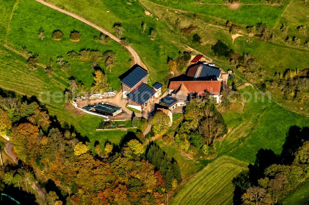 Aerial photograph Freiamt - Homestead of a farm on Huenersedelstrasse in Freiamt in the state Baden-Wurttemberg, Germany