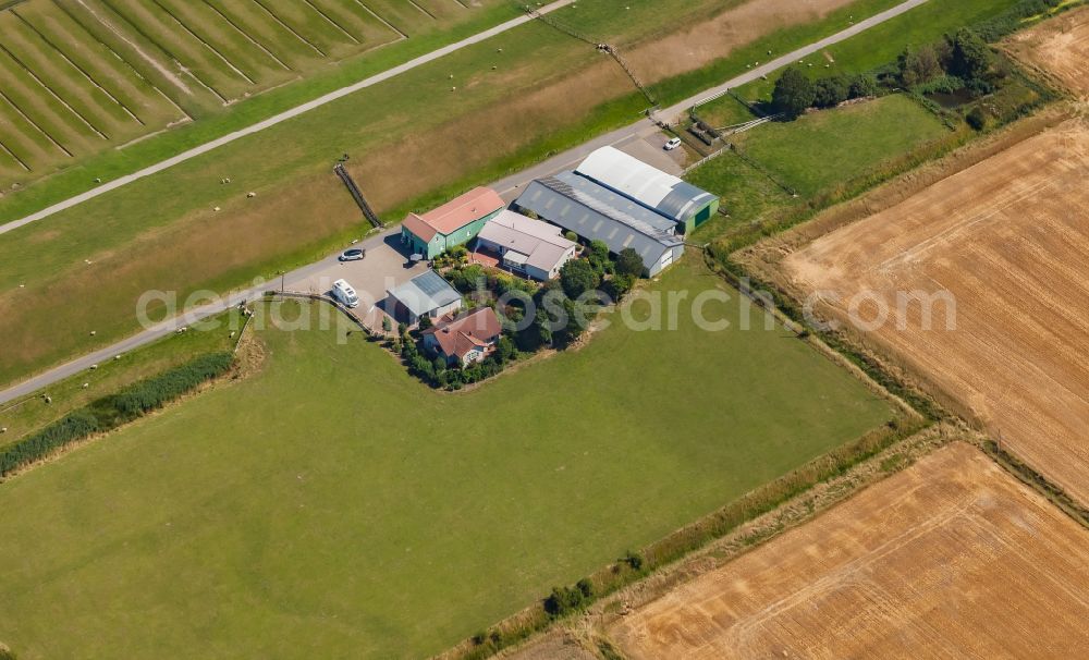 Nordstrand from above - Homestead and farm outbuildings on the edge of agricultural fields with Hofladen on street Pohnshalligkoogstrasse in Nordstrand North Friesland in the state Schleswig-Holstein, Germany