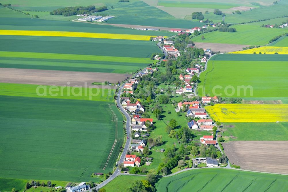 Lampertswalde from the bird's eye view: Homestead of a farm in Lampertswalde in the state Saxony, Germany